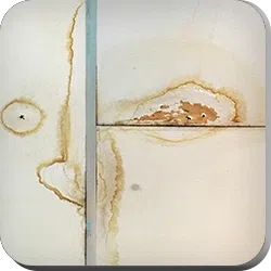 Deerfield Beach Restoration Company Deerfield Beach, FL 754-210-9244 Deerfield Beach Restoration Company Deerfield Beach, FL 754-210-9244