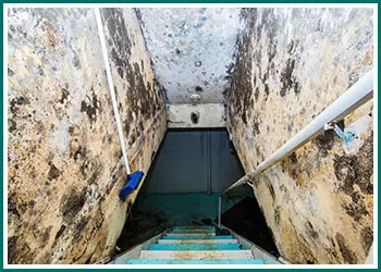 Deerfield Beach Restoration Company Deerfield Beach, FL 754-210-9244