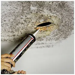 Deerfield Beach Restoration Company Deerfield Beach, FL 754-210-9244 Deerfield Beach Restoration Company Deerfield Beach, FL 754-210-9244