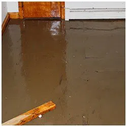 Deerfield Beach Restoration Company Deerfield Beach, FL 754-210-9244