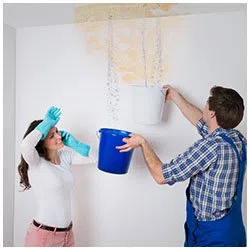 Deerfield Beach Restoration Company Deerfield Beach, FL 754-210-9244 Deerfield Beach Restoration Company Deerfield Beach, FL 754-210-9244
